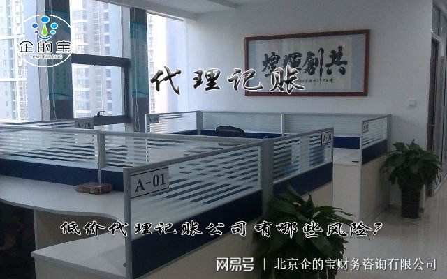 J9九游会 九游会J9低价代理记账公司有哪些风险？(图1)
